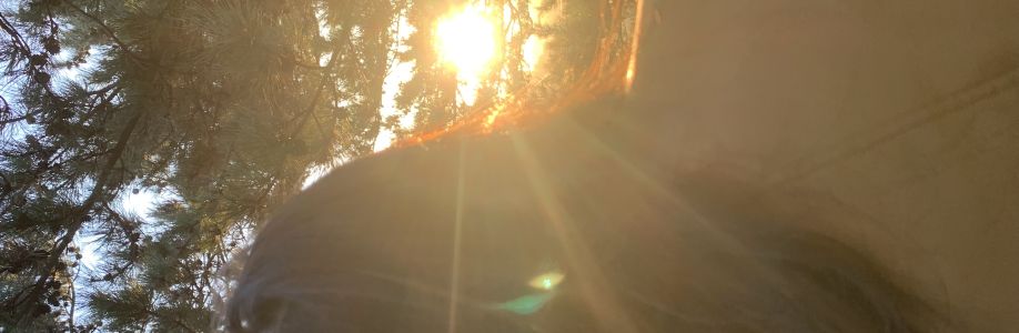 糊涂 晓 Cover Image